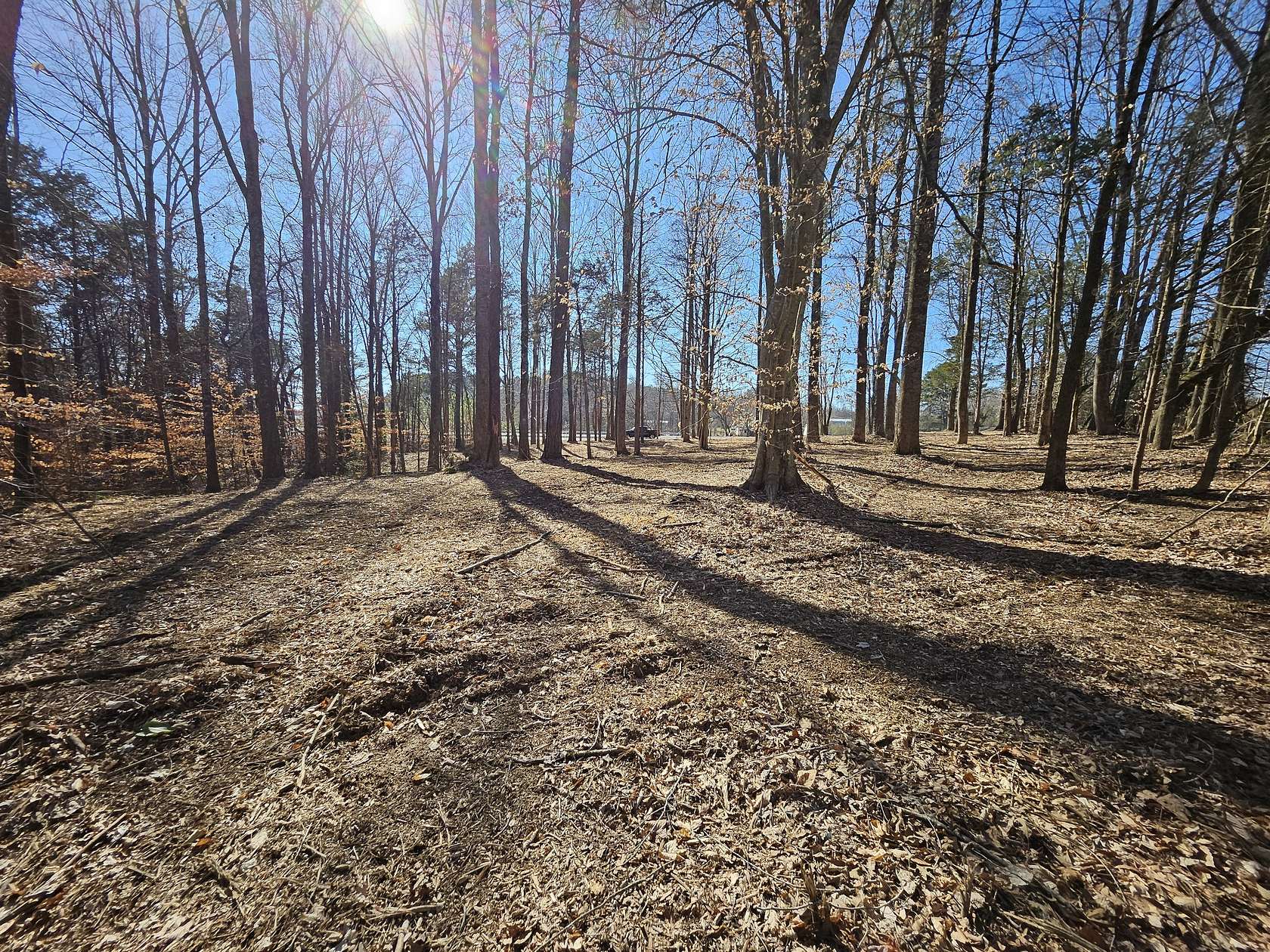 1.5 Acres of Residential Land for Sale in Woodbury, Tennessee