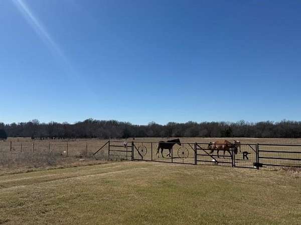 33 Acres of Land with Home for Sale in Wolfe City, Texas