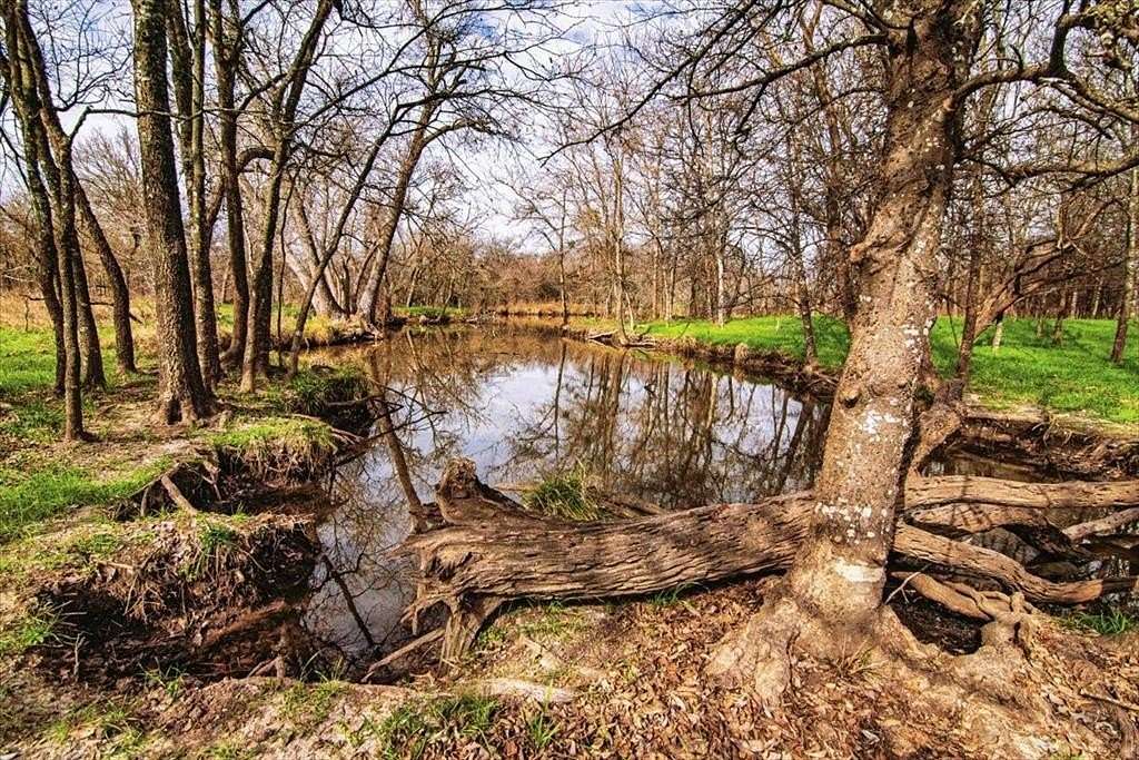 170 Acres of Land for Sale in Groesbeck, Texas