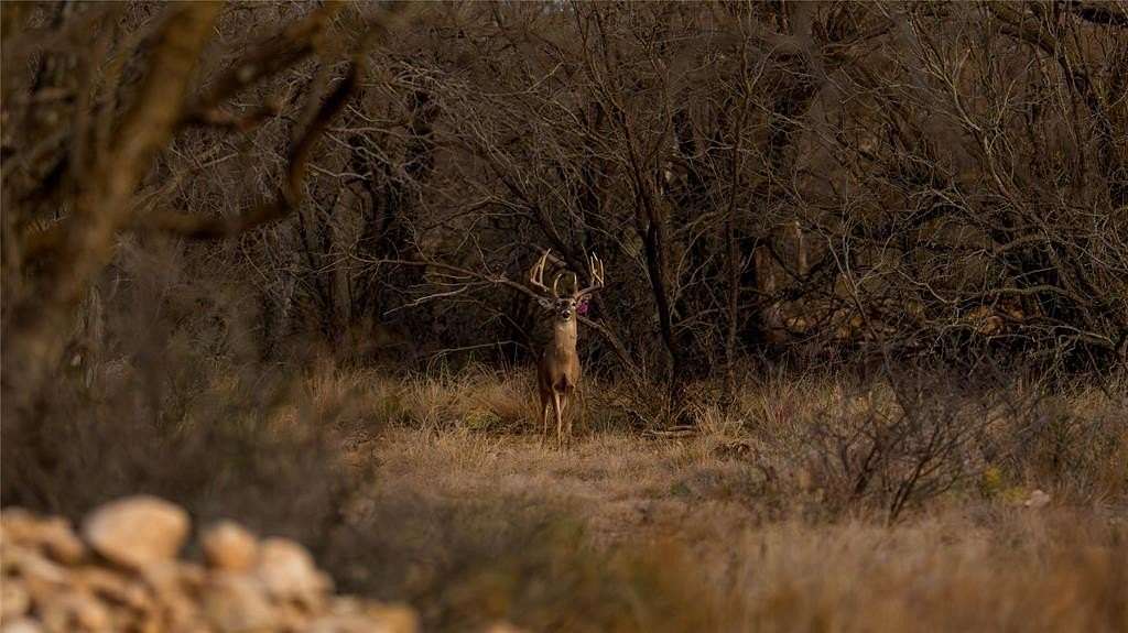 1,280 Acres of Improved Land for Sale in Paint Rock, Texas
