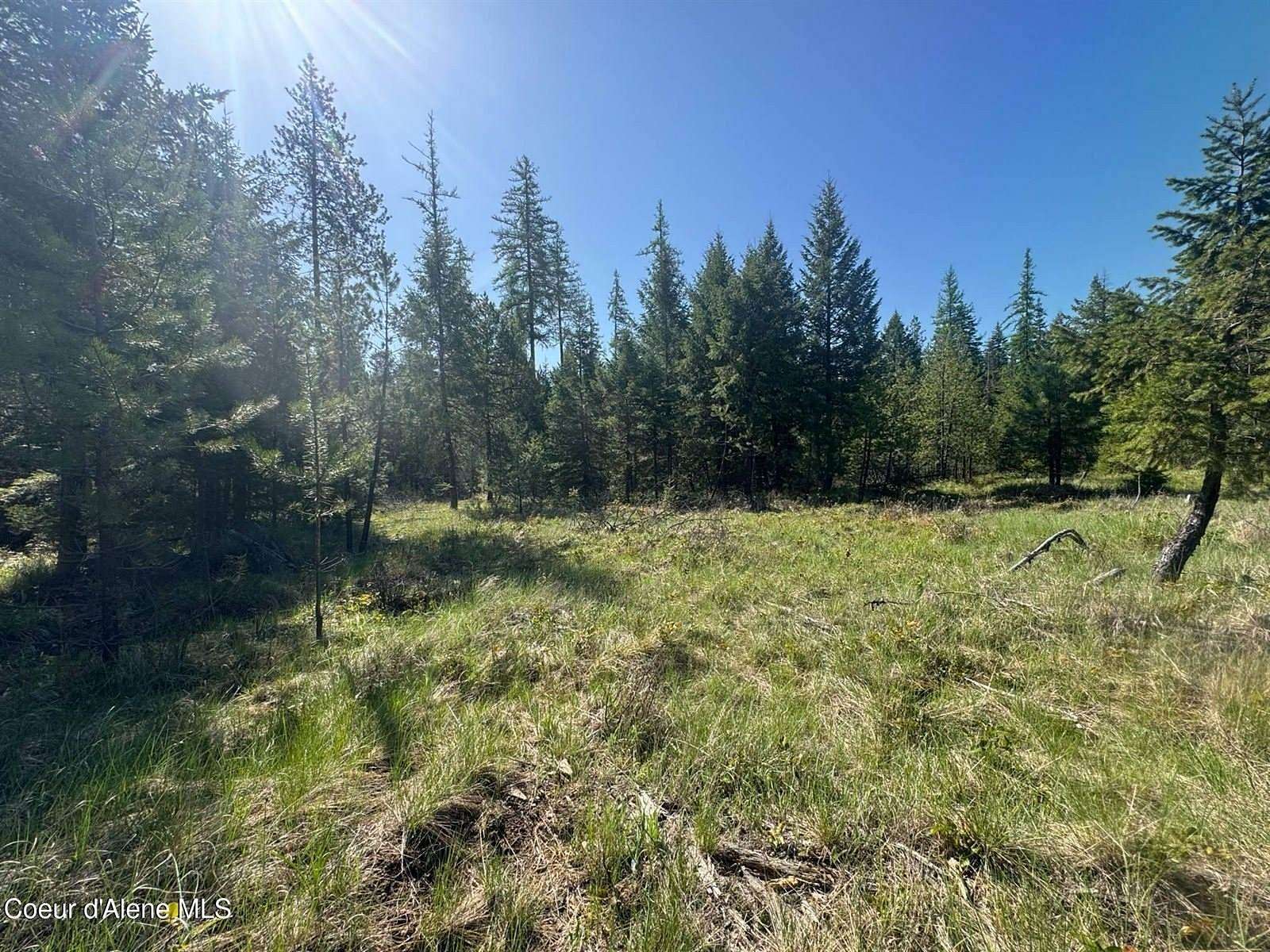 6.25 Acres of Residential Land for Sale in Priest River, Idaho