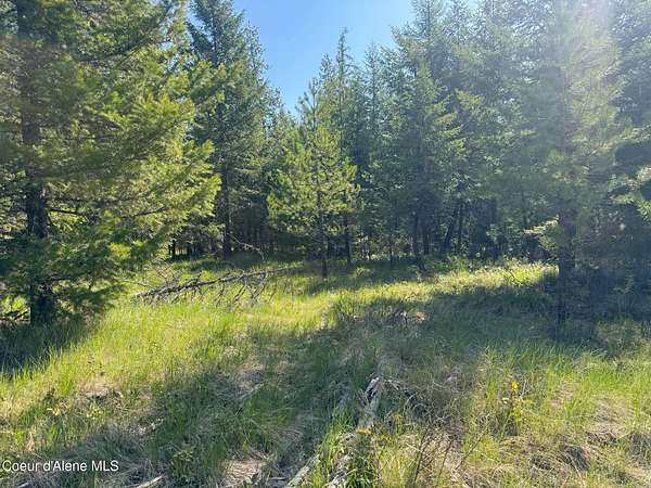 6.25 Acres of Residential Land for Sale in Priest River, Idaho