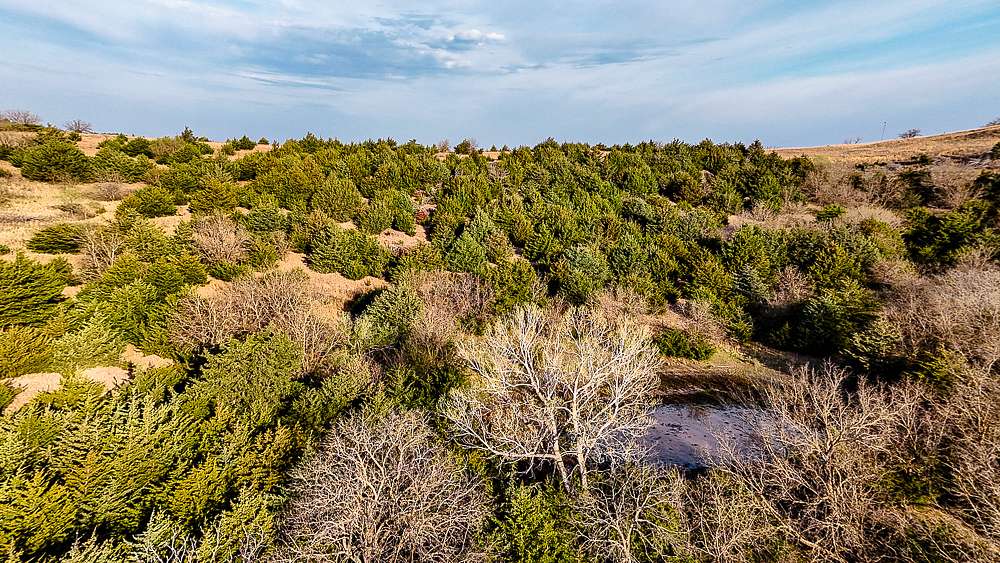83 Acres of Recreational Land for Sale in Bennington, Kansas