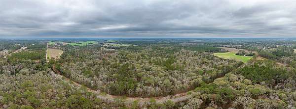 108 Acres of Recreational Land for Auction in Quitman, Georgia