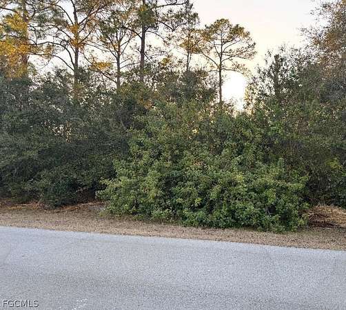 0.5 Acres of Residential Land for Sale in Lehigh Acres, Florida