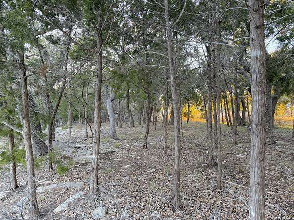 0.5 Acres of Residential Land for Sale in Canyon Lake, Texas
