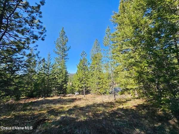 5 Acres of Land for Sale in Athol, Idaho