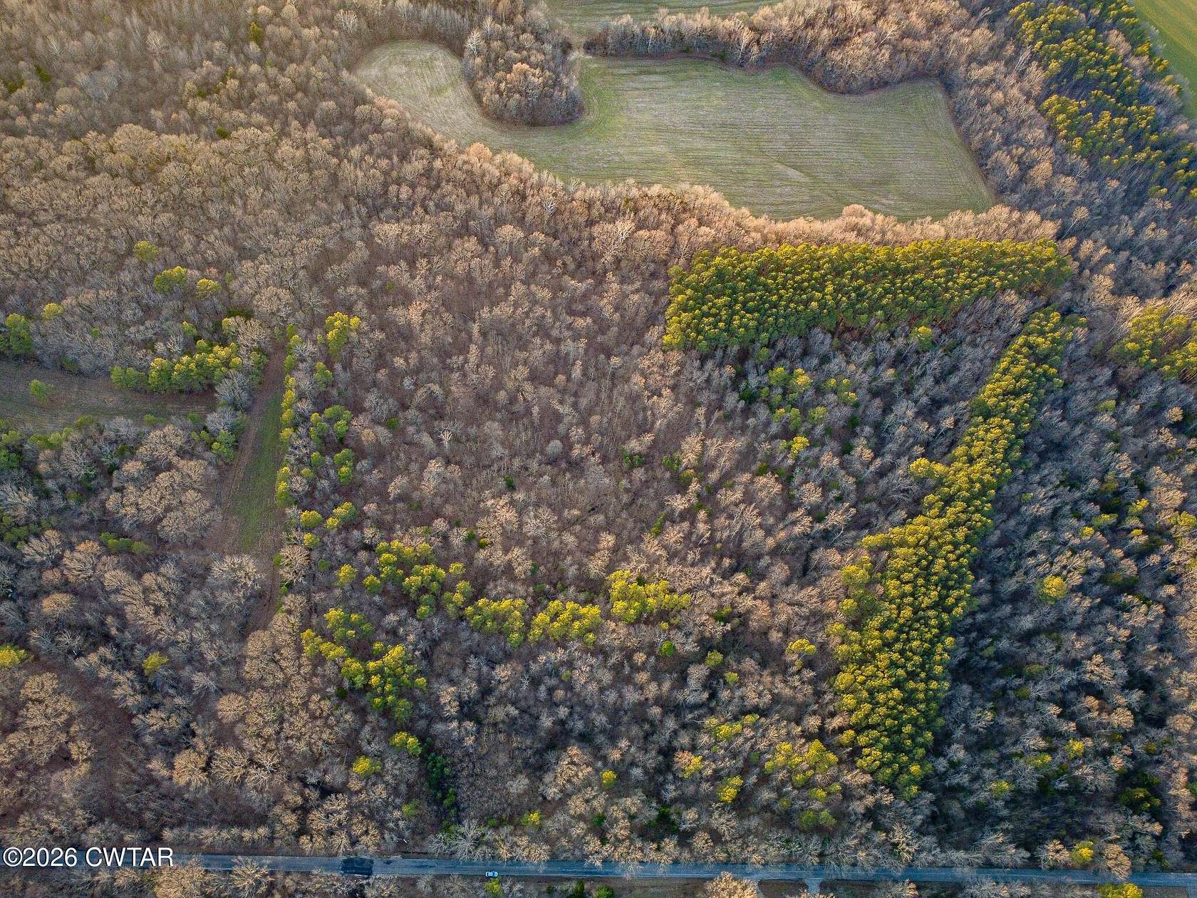 38 Acres of Agricultural Land for Sale in Trenton, Tennessee