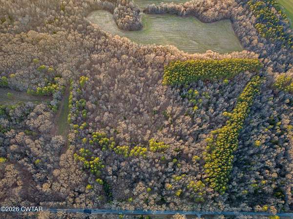 38 Acres of Agricultural Land for Sale in Trenton, Tennessee