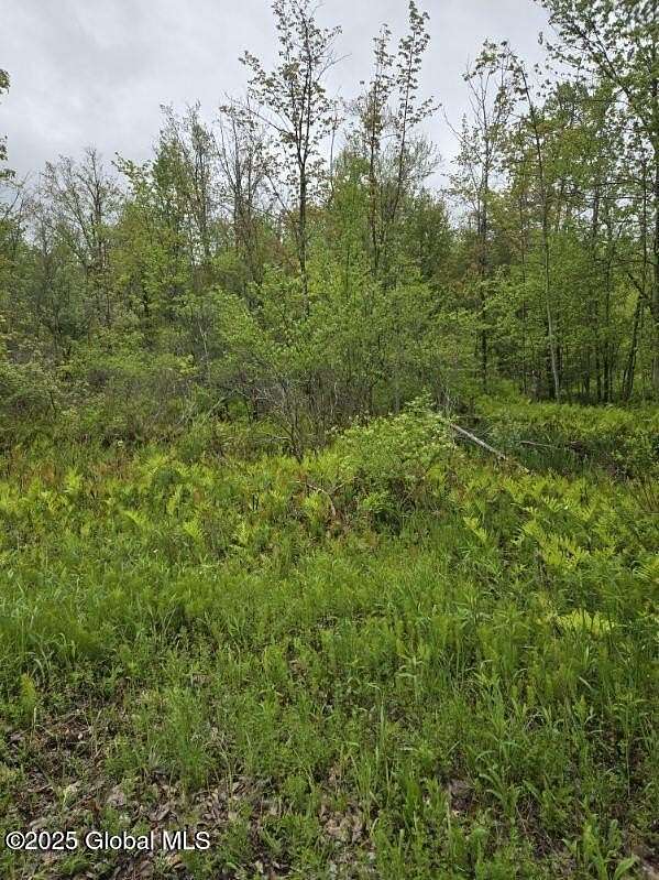 2.1 Acres of Residential Land for Sale in Glenville, New York