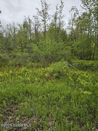 2.1 Acres of Residential Land for Sale in Glenville, New York
