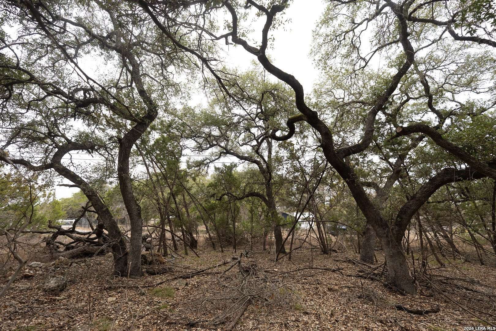 0.27 Acres of Residential Land for Sale in Spring Branch, Texas