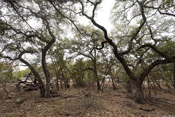 0.27 Acres of Residential Land for Sale in Spring Branch, Texas