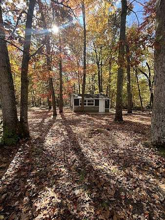 0.61 Acres of Residential Land with Home for Sale in Wellston, Michigan