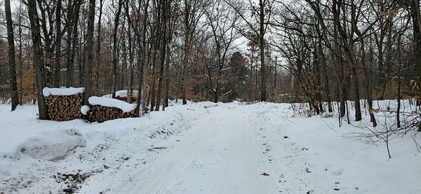 0.42 Acres of Residential Land for Sale in Grand Junction, Michigan