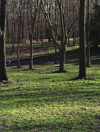 10 Acres of Land for Sale in Nixa, Missouri