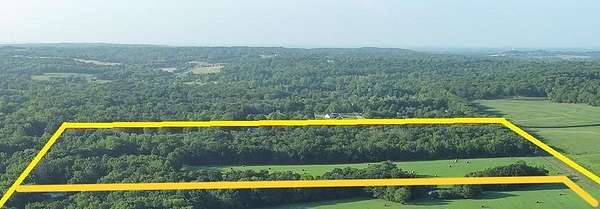 26.7 Acres of Land for Sale in Kingsville, Missouri