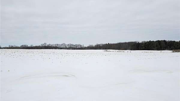 46.6 Acres of Agricultural & Residential Land for Sale in Center City, Minnesota