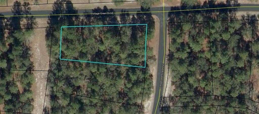 0.53 Acres of Residential Land for Sale in Townsend, Georgia