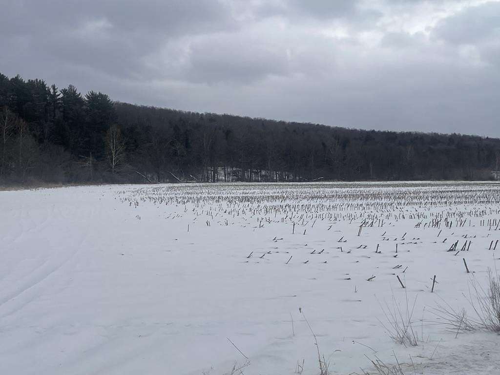 100 Acres of Land for Sale in Rome, Pennsylvania