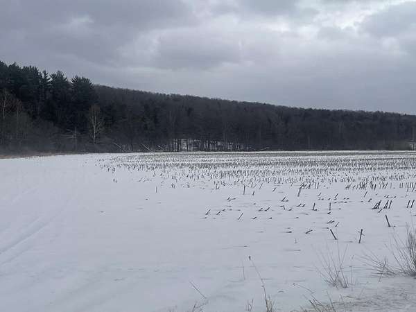 100 Acres of Land for Sale in Rome, Pennsylvania