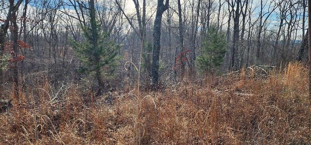 0.4 Acres of Residential Land for Sale in Holladay, Tennessee