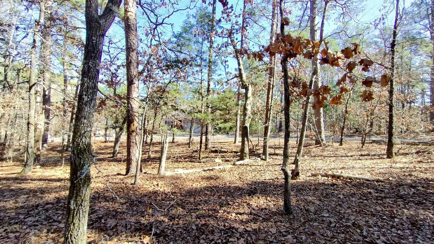 0.27 Acres of Residential Land for Sale in Hot Springs Village, Arkansas