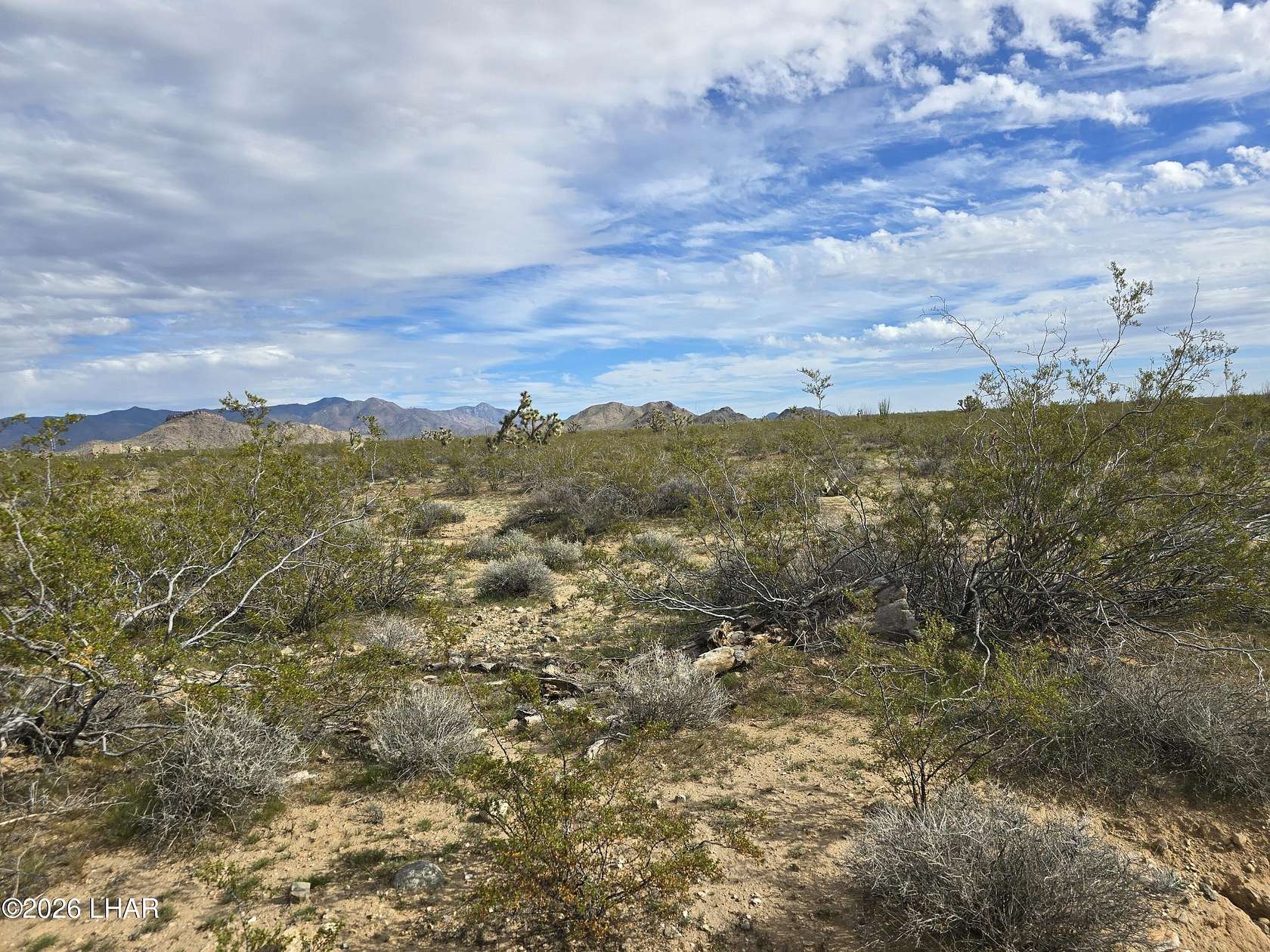 10 Acres of Recreational & Residential Land for Sale in Yucca, Arizona