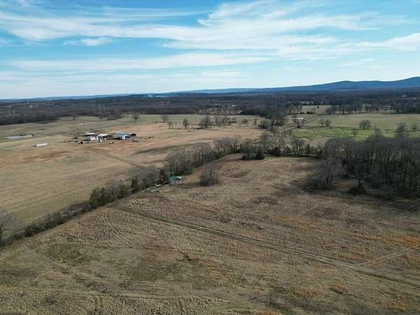 20 Acres of Agricultural & Residential Land for Sale in Belleville, Arkansas