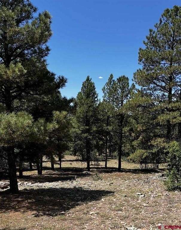0.25 Acres of Residential Land for Sale in Pagosa Springs, Colorado