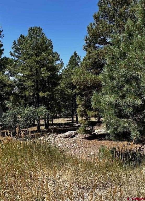 0.25 Acres of Residential Land for Sale in Pagosa Springs, Colorado