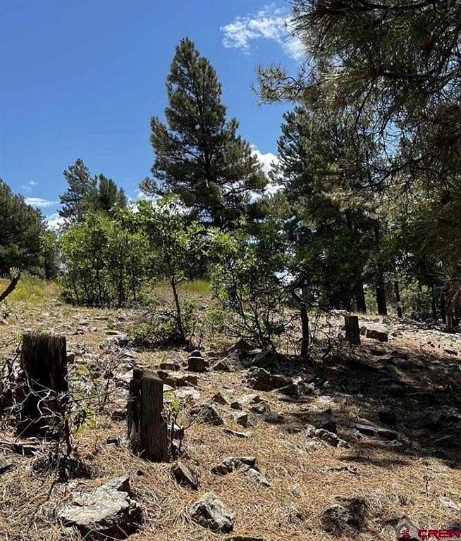 0.25 Acres of Residential Land for Sale in Pagosa Springs, Colorado
