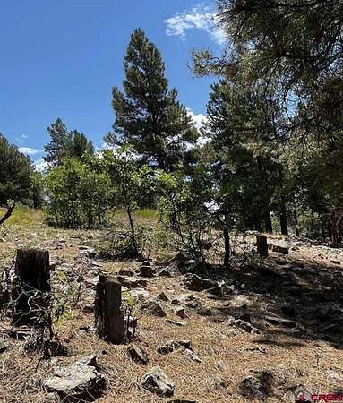 0.25 Acres of Residential Land for Sale in Pagosa Springs, Colorado
