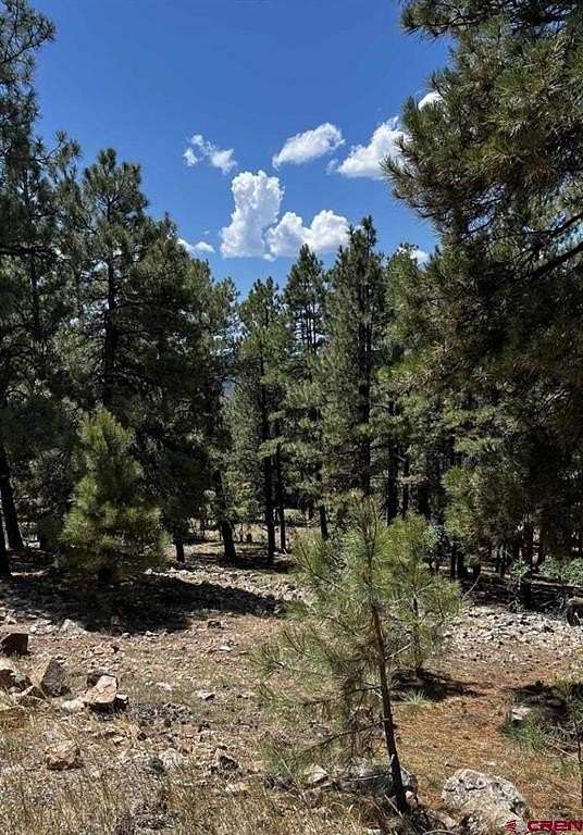 0.31 Acres of Residential Land for Sale in Pagosa Springs, Colorado