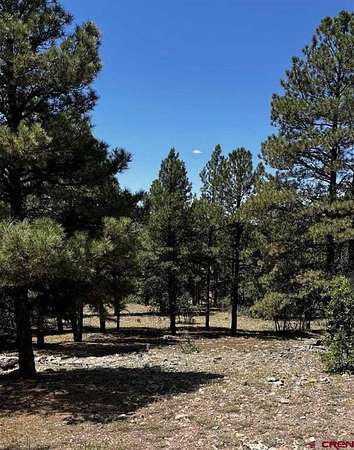 0.31 Acres of Residential Land for Sale in Pagosa Springs, Colorado