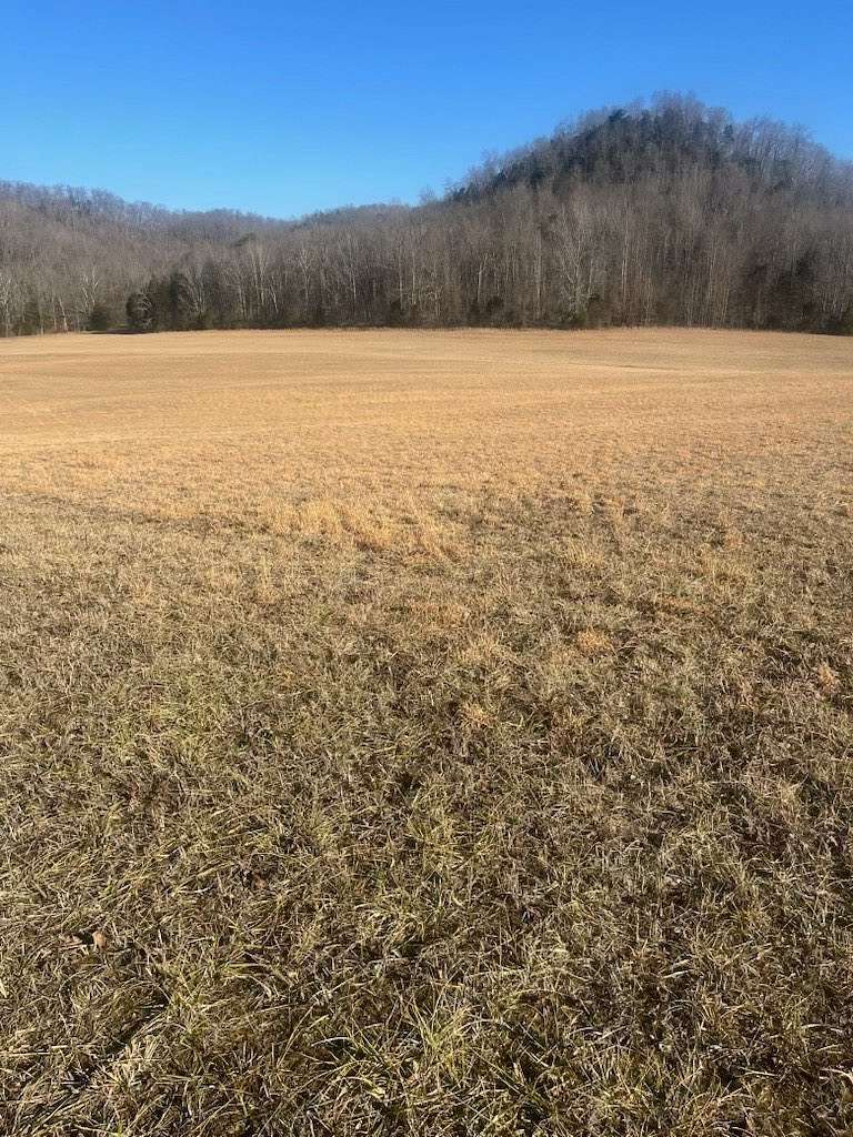 16 Acres of Land for Sale in Burkesville, Kentucky