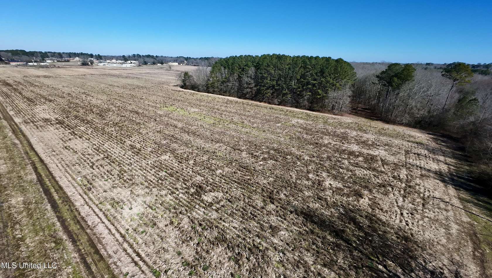 74.7 Acres of Land for Sale in Carthage, Mississippi