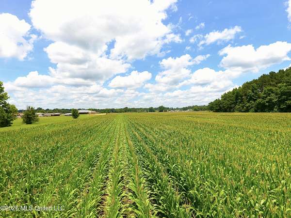 74.7 Acres of Land for Sale in Carthage, Mississippi