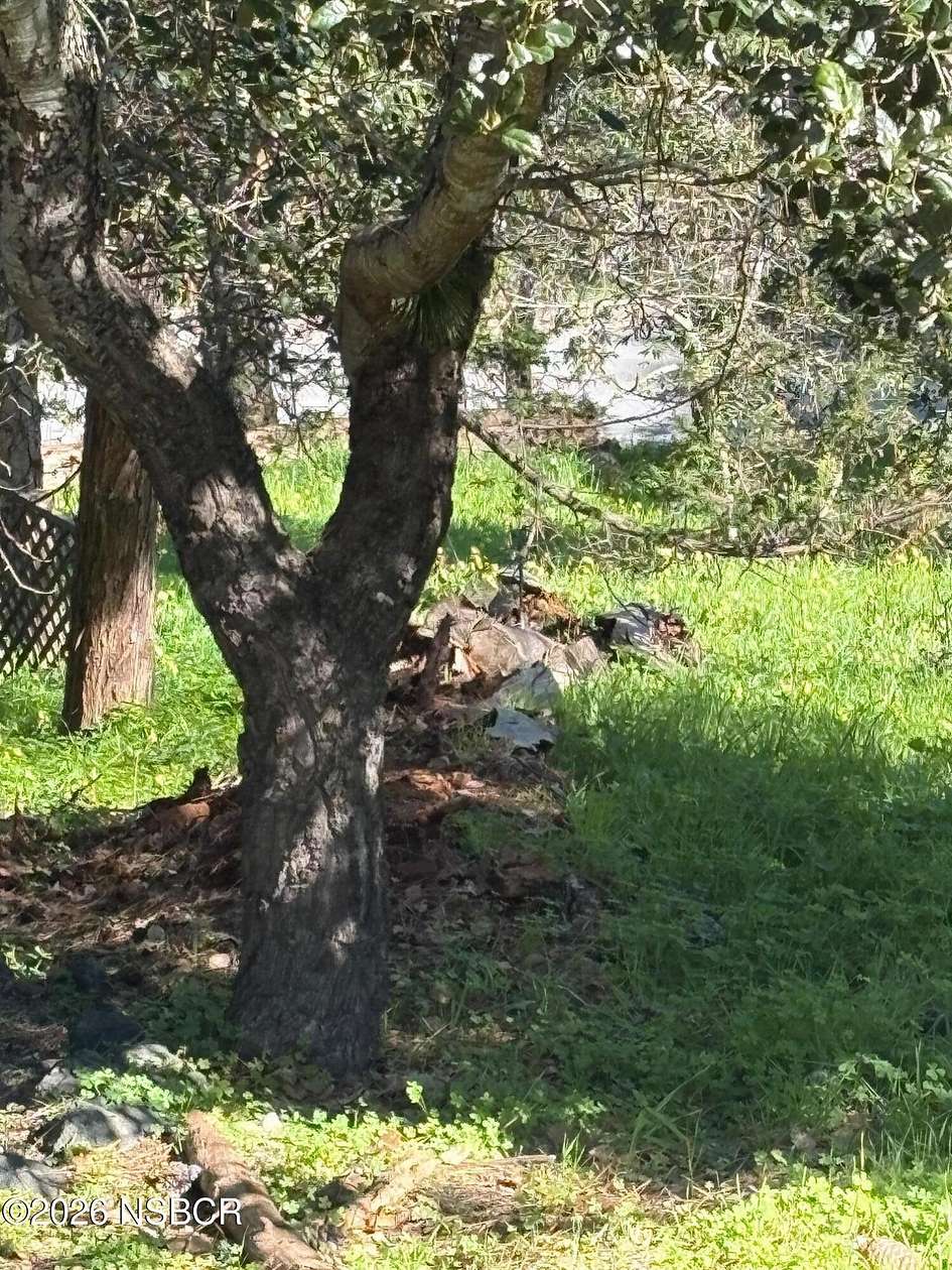 0.22 Acres of Residential Land for Sale in Cambria, California