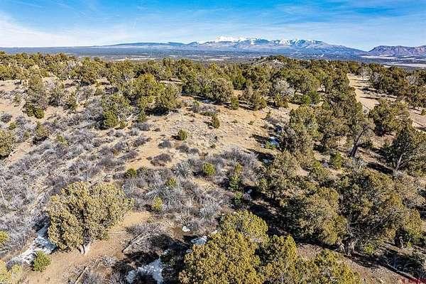 36 Acres of Land for Sale in Mancos, Colorado
