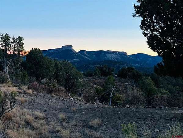 36 Acres of Recreational & Residential Land for Sale in Mancos, Colorado