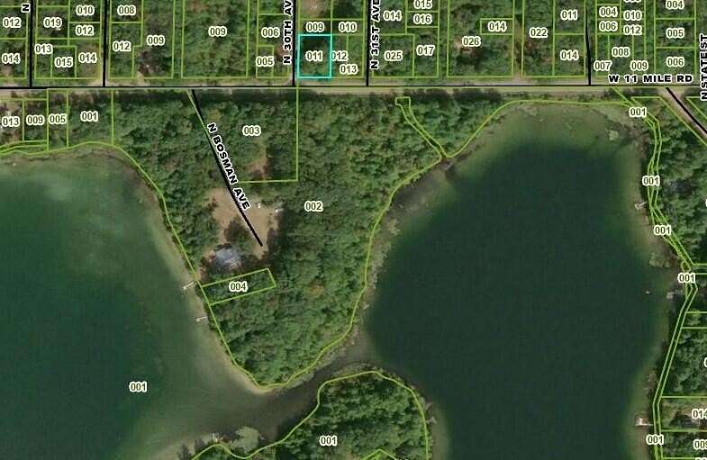 0.32 Acres of Land for Sale in Bitely, Michigan