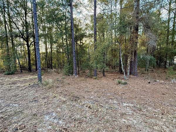 1.2 Acres of Residential Land for Sale in Dunnellon, Florida