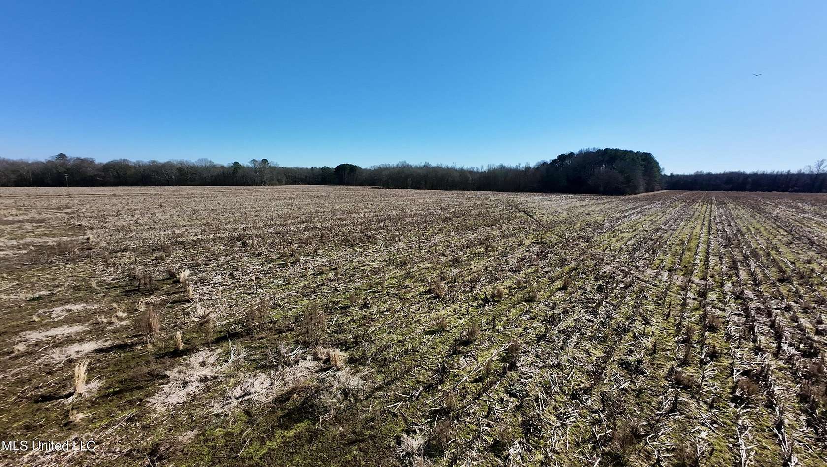 40 Acres of Commercial Land for Sale in Carthage, Mississippi