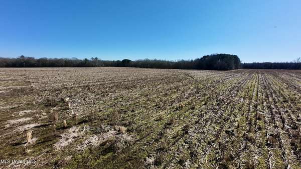 40 Acres of Commercial Land for Sale in Carthage, Mississippi