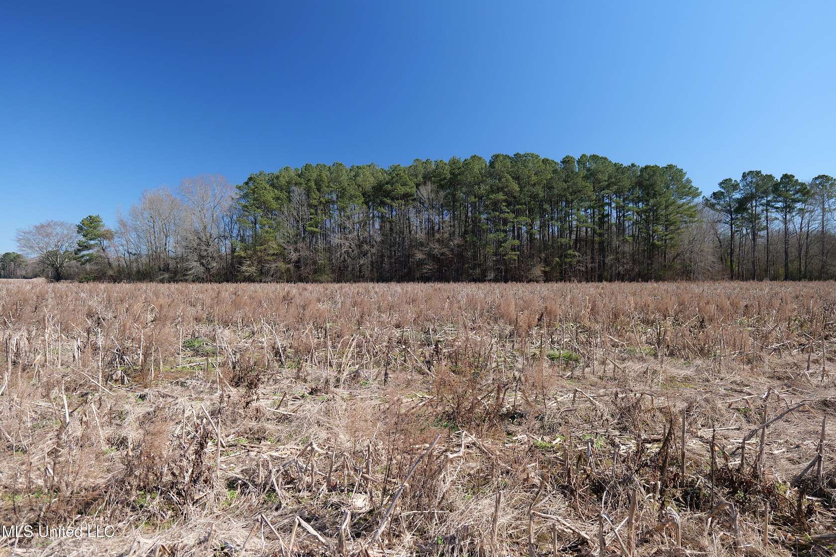 20 Acres of Commercial Land for Sale in Carthage, Mississippi