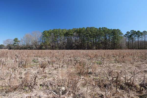 20 Acres of Commercial Land for Sale in Carthage, Mississippi