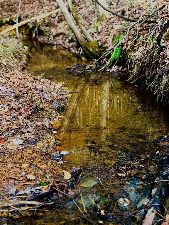 20.3 Acres of Recreational & Residential Land for Sale in Center, Texas