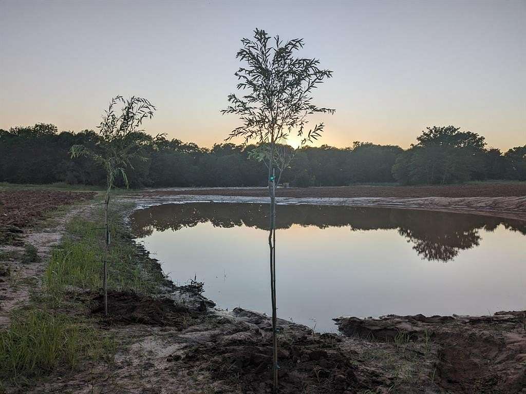 10 Acres of Land for Sale in Bridgeport, Texas