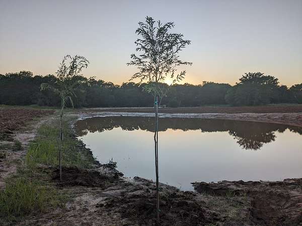 10 Acres of Land for Sale in Bridgeport, Texas